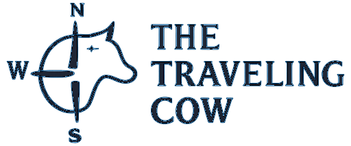 The Traveling Cow